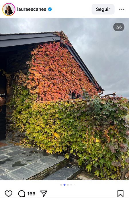 Whatsapp Image 2025 10 31 At 13 20 15