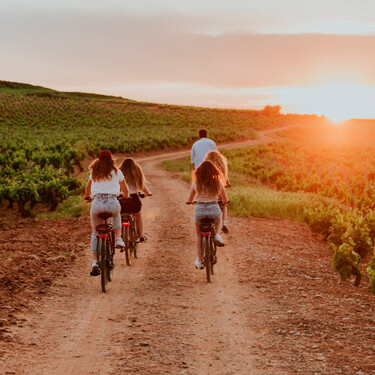 La experiencia global para vivir la esencia de los vinos de Rioja está en esta bodega a 35 kilómetros de Logroño 