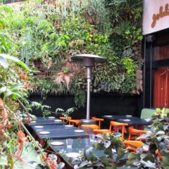 Foto 4 de 7 de la galería goldie-s-los-angeles en Trendencias Lifestyle