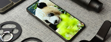 Mejores móviles Oppo 2026. Cuál comprar y seis modelos recomendados 