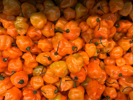 Habanero