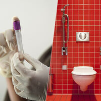 Hace años, los trasplantes de microbiota parecían cosa de ciencia ficción. Hoy ya están curando enfermedades