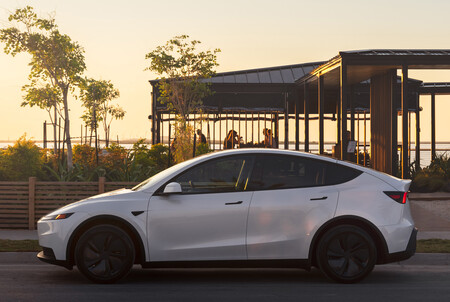 Tesla Model Y Standard Mexico 4