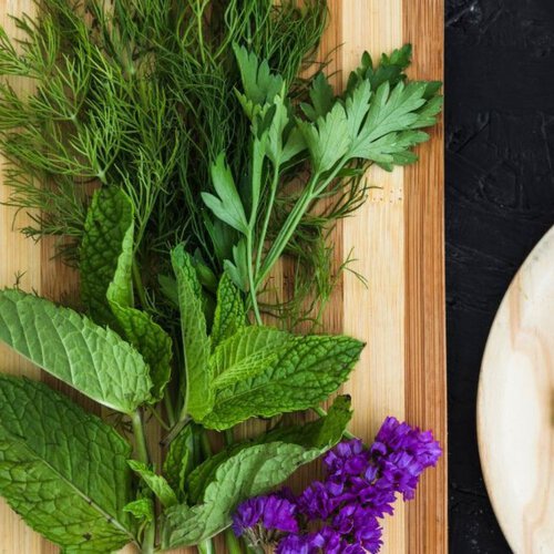 Top 3 de plantas aromáticas que puedes sembrar en agosto: ideales para ahuyentar plagas y de fácil cuidado