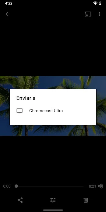 Google フォト キャスト