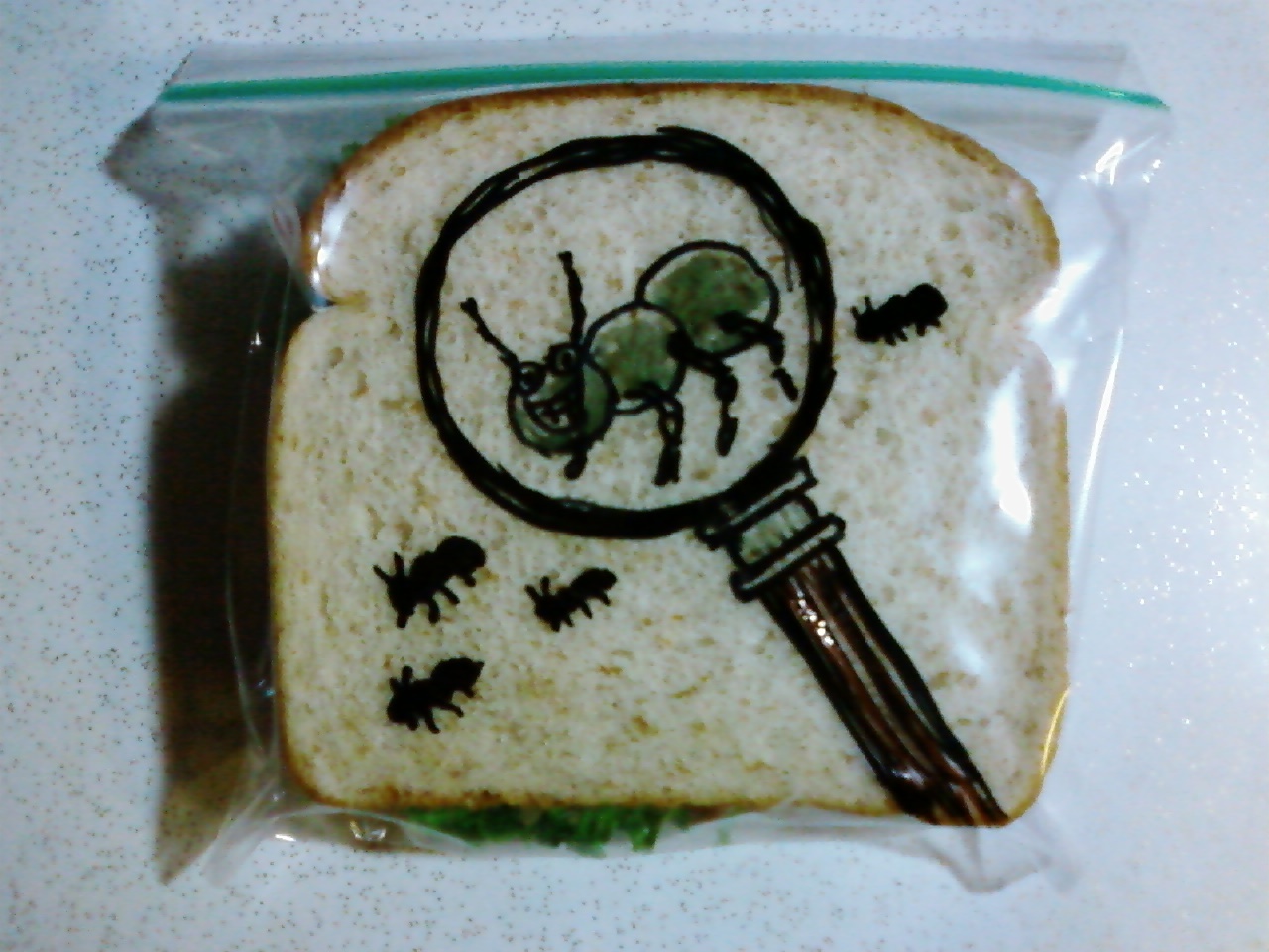 Foto de David Laferriere (19/19)