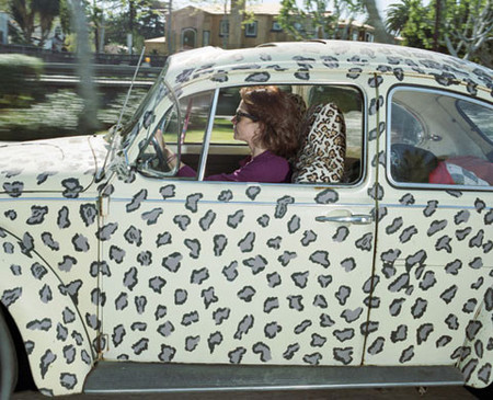 Andrew Bush Vector Portraits