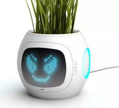 Nunca más te olvidarás de regar las plantas