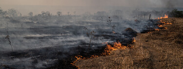 Fogo contra fogo: brigadistas, quilombolas e indígenas tacam fogo no cerrado para evitar incêndios desastrosos 