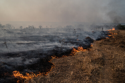 Incêndio no Cerrado. Créditos: Lucas Ninno/GettyImages