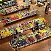 ¿De qué factores dependen la oferta y la demanda?