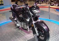 Suzuki GW250, cariño he encogido la B-King