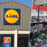 Ya en Lidl el set ideal para manitas: maletín con 92 herramientas y atornillador inalámbrico Parkside por 74,99 euros