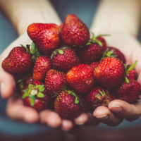 El mayor estudio sobre alimentación sostenible lo confirma: la proteína vegetal gana la partida 