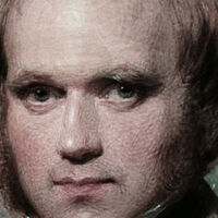 Em 1º de agosto de 1828, um capitão inglês se suicidou com um tiro na cabeça no Chile, e graças a isso Darwin elaborou a teoria da evolução 