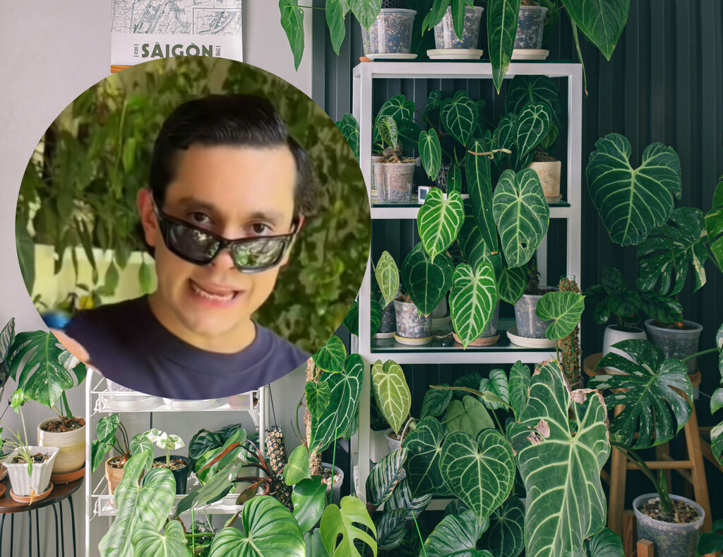 André Alonso, experto en plantas: "Si pones el café como fertilizante o ajo como insecticida, se van a pudrir tus plantas" 