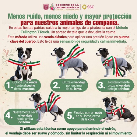 Gobierno De La Ciudad De Mexico