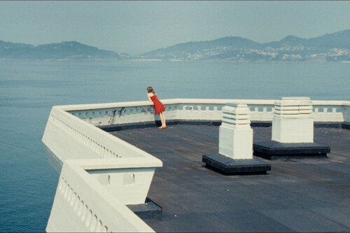 Estrenos (31 de diciembre). 58 series, películas y documentales en Netflix, Prime Video, Disney plus, Movistar Plus+, Filmin y SkyShowtime