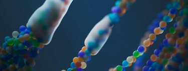 Los expertos hallan una proteína que tendría un efecto protector contra el Alzhéimer y otras enfermedades asociadas a la edad