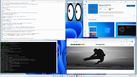 Windows 11 Linux Gui