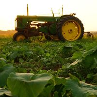 Los Gobiernos de todo el mundo distorsionan la agricultura con sus ayudas
