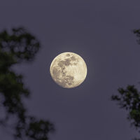 Cientistas chineses solucionam o mistério do solo pegajoso do lado oculto da Lua 
