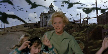 Los Pajaros 1963 Alfred Hitchcock