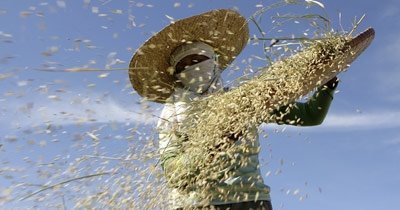 Europa ayuda a Africa de la peor forma