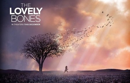 'The Lovely Bones', amados huesos, amados videojuegos