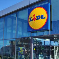 El viernes 9 de octubre llega a Lidl la solución barata (por 11,99 euros) de almacenaje ideal para pisos pequeños