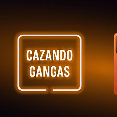 Cazando Gangas