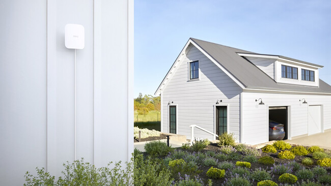 Eero