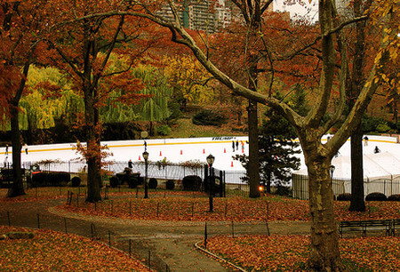 Central Park Ice Ring