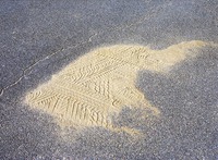 Efectos especiales en medio de la calzada