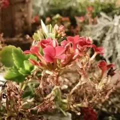 Foto 130 de 154 de la galería fotos-tomadas-con-el-honor-10-lite en Xataka Android