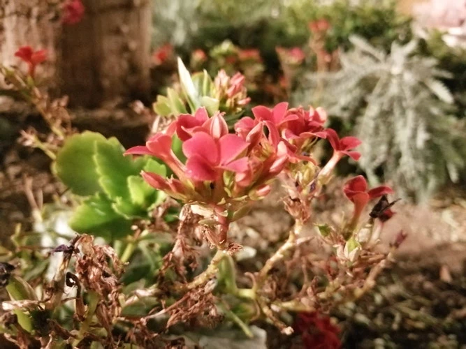 Foto de Fotos tomadas con el Honor 10 Lite (130/154)