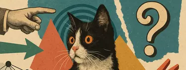 Esta frase sobre gatos logra que 'se le vaya la pinza' incluso a los modelos de IA más avanzados 
