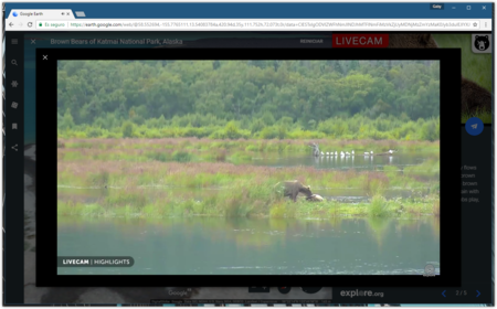 Google Earth Ositos