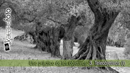Uso práctico de los objetivos: 3. Teleobjetivos (I)