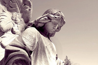 Un "ángel" salvó la vida de un bebé que nació en la calle‏