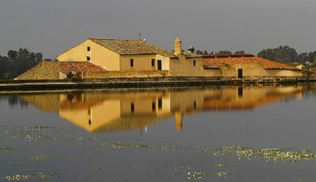 Disfruta gratis del 'Ciclo de Música Contemporánea' en el Museo Vostell de Cáceres