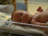 Hablarle al bebé prematuro favorece su desarrollo