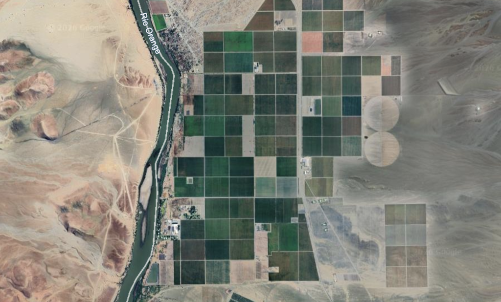 Cuadrados verdes en mitad del desierto: el "milagro" de Namibia para llenar de uvas los supermercados de Europa