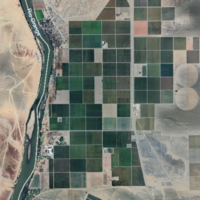 Cuadrados verdes en mitad del desierto: el "milagro" de Namibia para llenar de uvas los supermercados de Europa