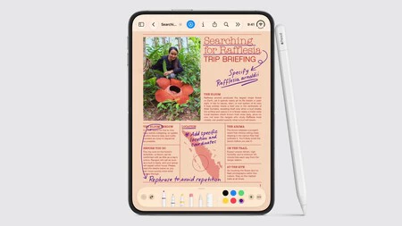 Iphone Duo Apple Pencil