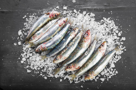 Sardinas