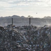 Hace 10 años tiró 8.000 Bitcoin a la basura. Hoy, desesperado, busca la forma de recuperar más de 258 millones de euros 
