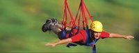 Parque ToroVerde: Nueva aventura en Puerto Rico