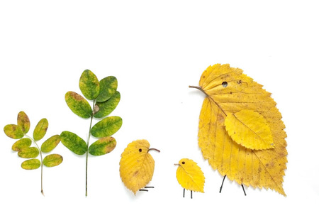 Manualidades para el otoño: preciosas combinaciones con hojas caídas de los árboles