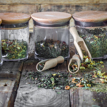 Ya disponible en Lidl el árbol pequeño, bonito y fácil de cuidar si vives en España que cuesta menos de 6 euros 